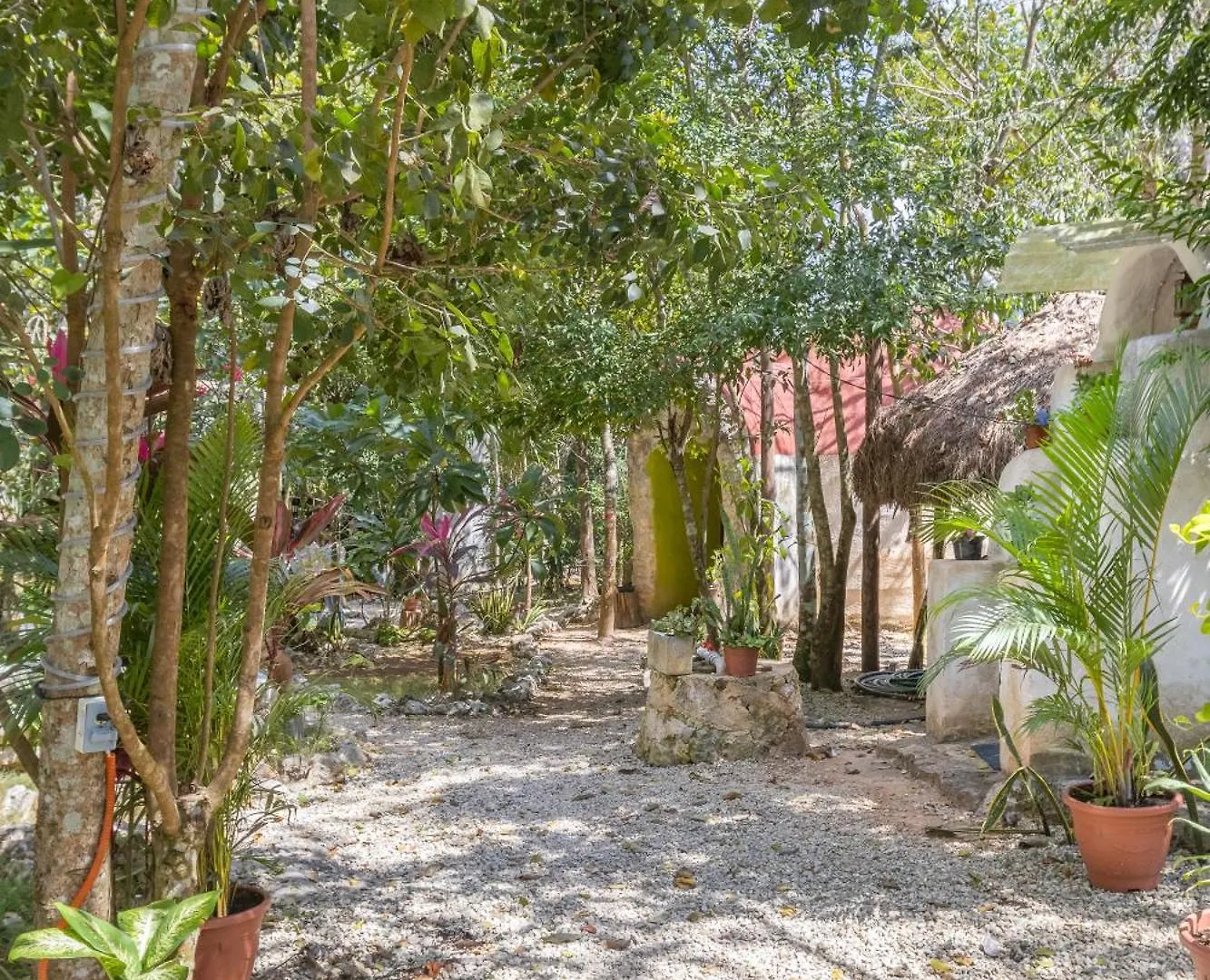 Eco Domos Los Jaguares Villa Puerto Morelos Mexico