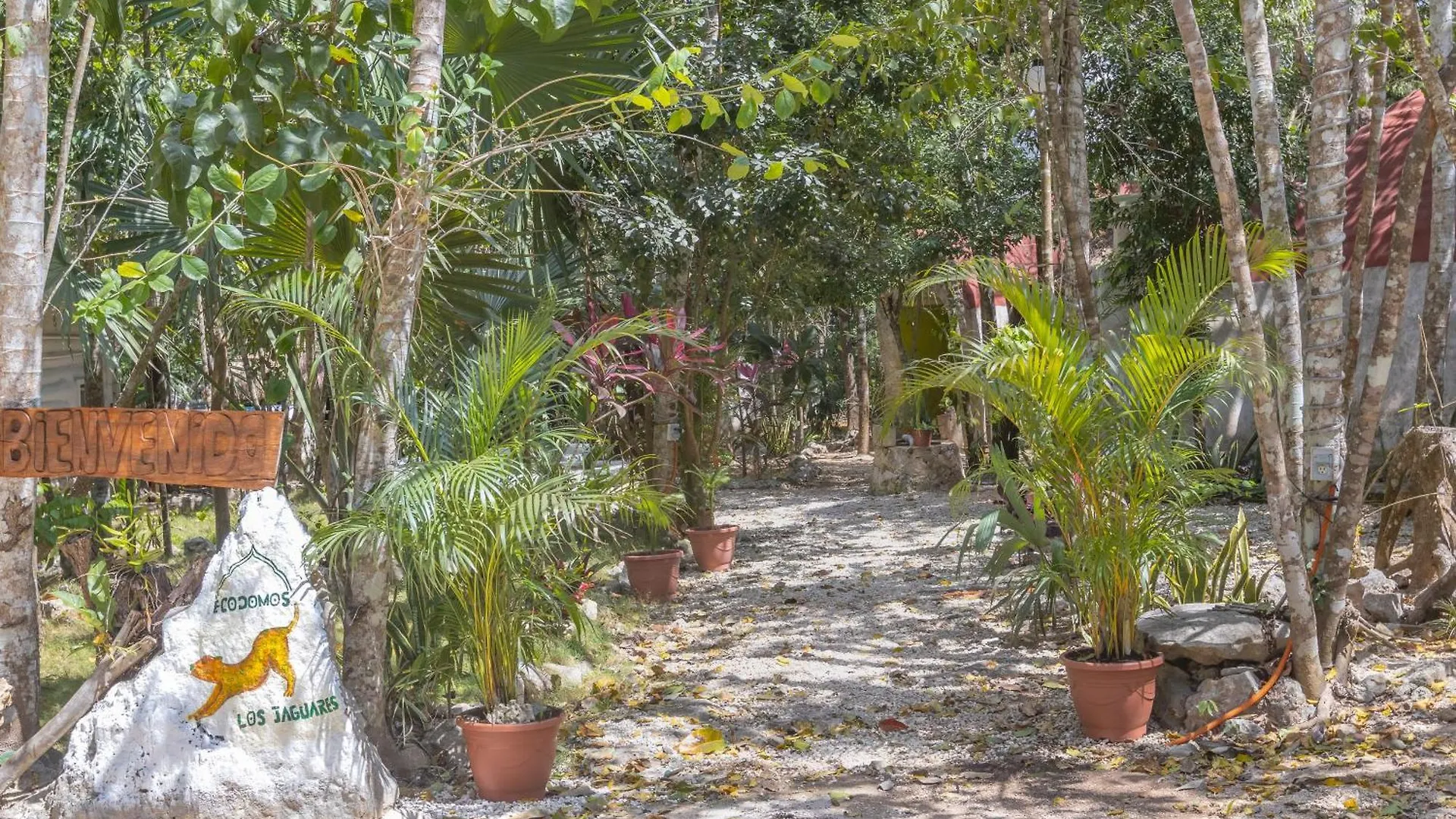 Eco Domos Los Jaguares Villa Puerto Morelos Mexico