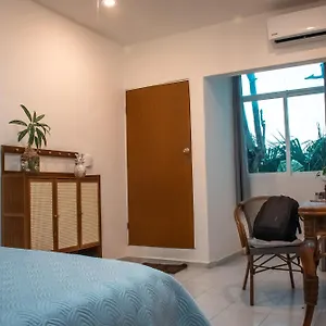 Cuca Macuca Hostel